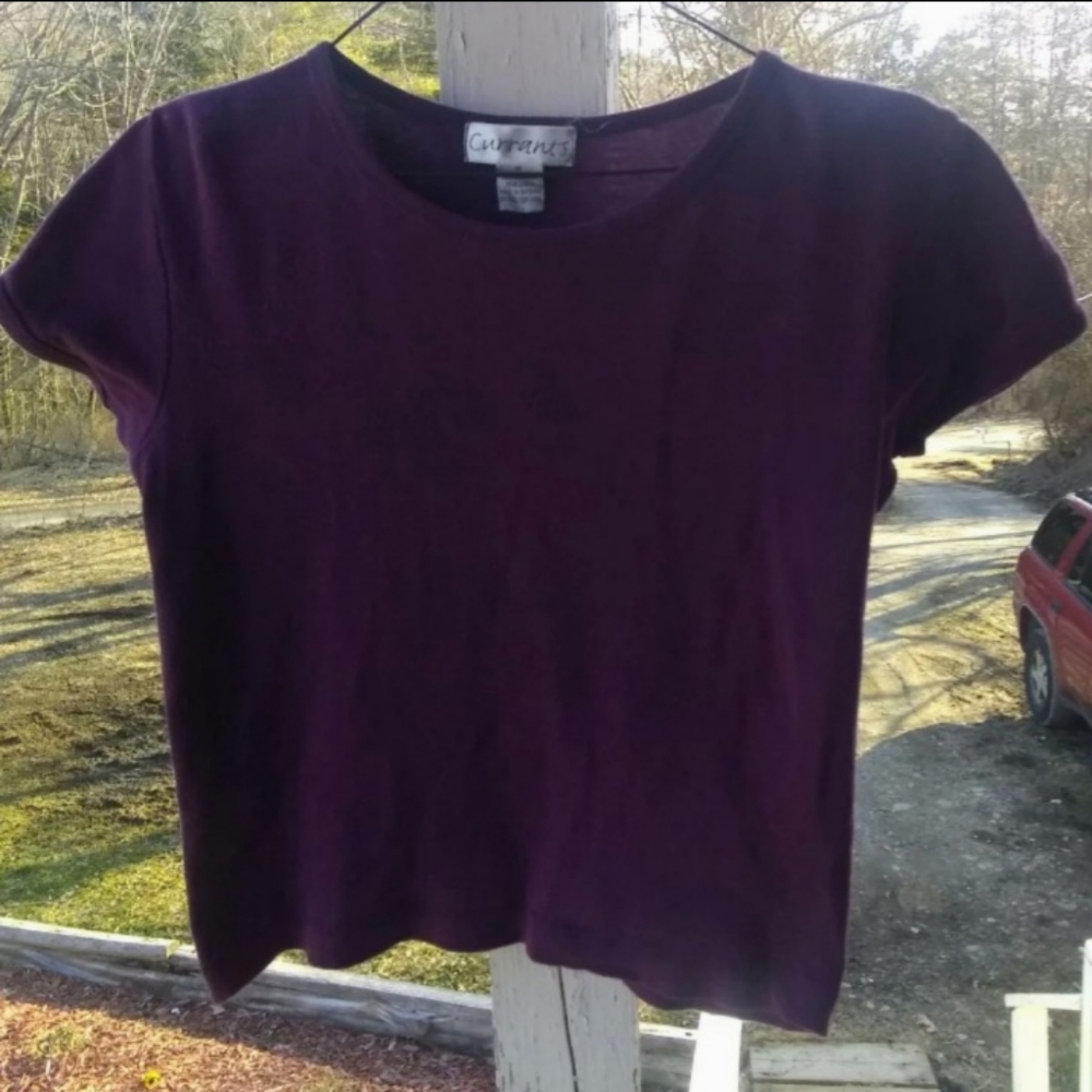 ♥️ 3/$10 ♥️ Burgundy Crop Style T-shirt (M)